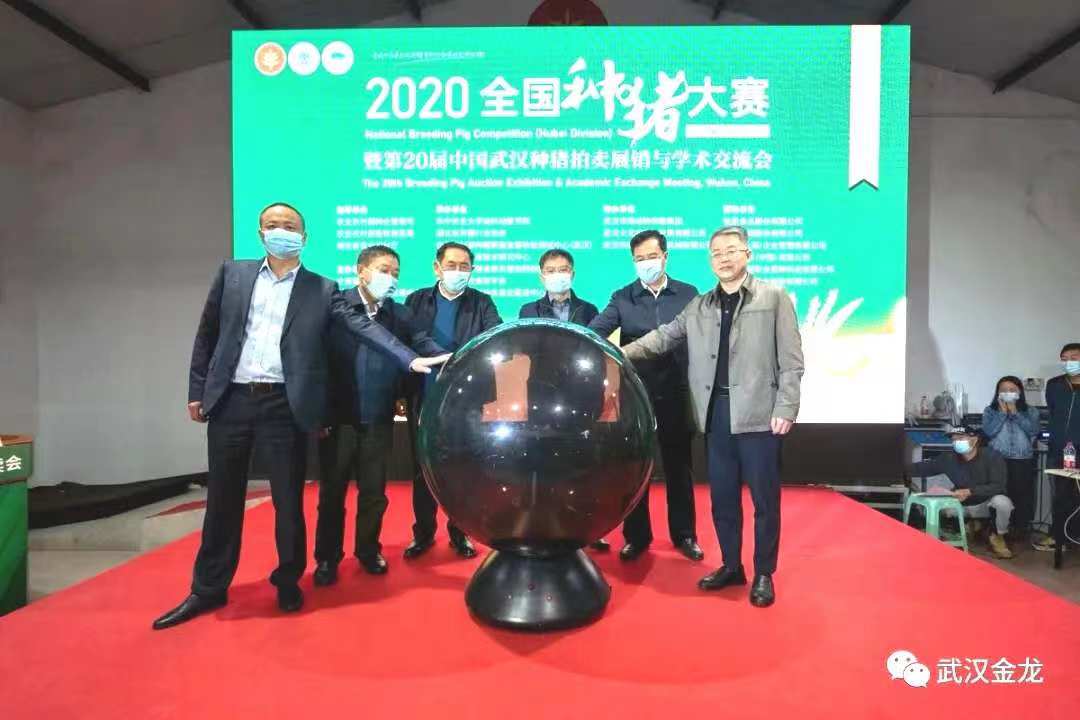 热烈祝贺武汉金龙集团长白种猪2020年中国农民丰收节系列活动”全国种猪大赛（湖北赛区）摘得桂冠