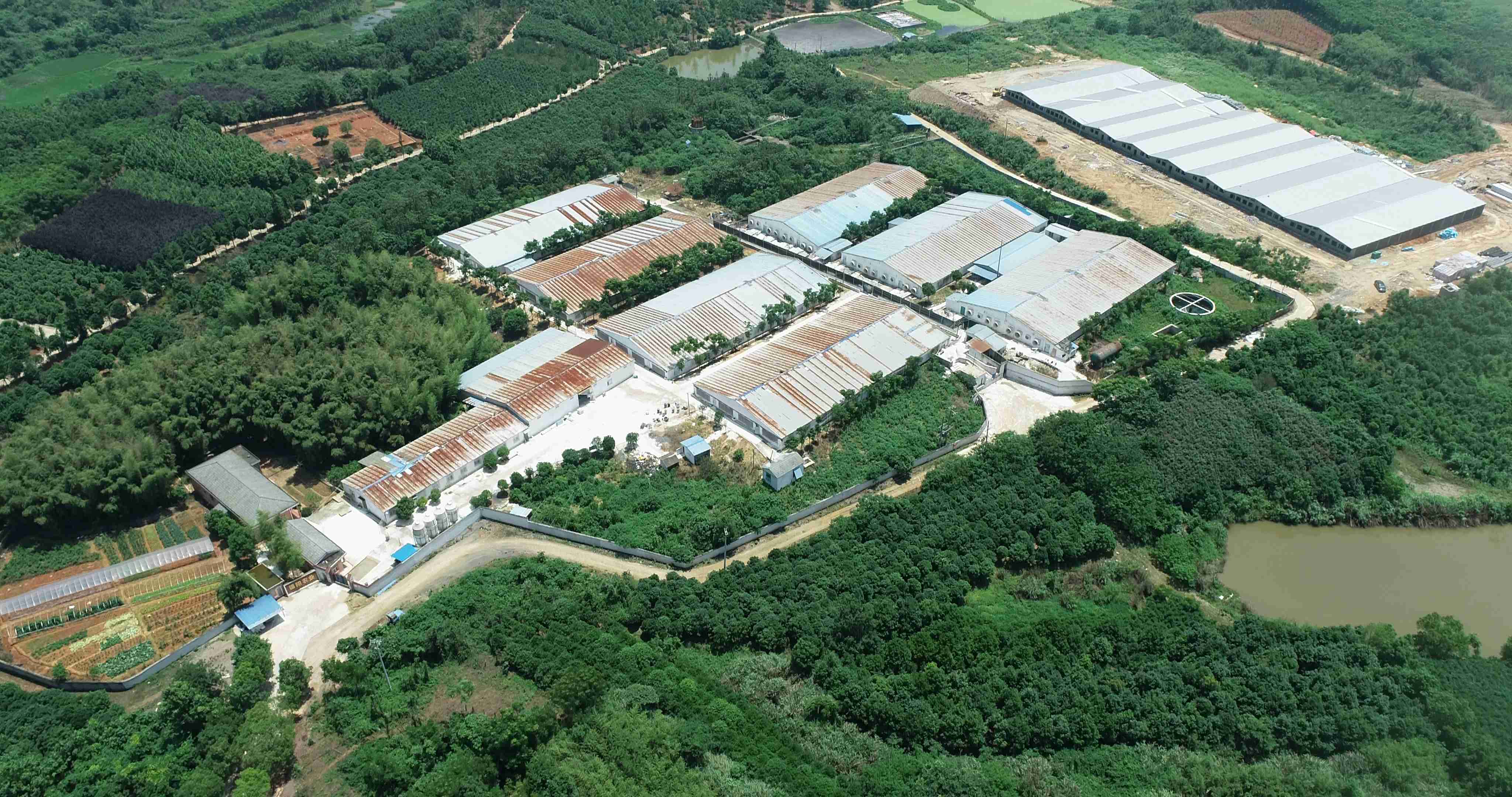 锦阳场