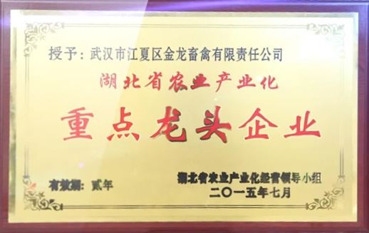 重点龙头企业